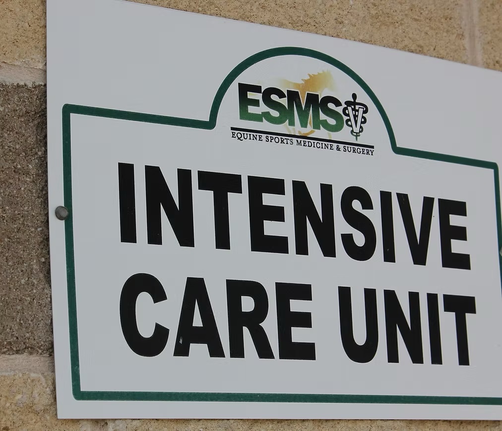 Intensive Care