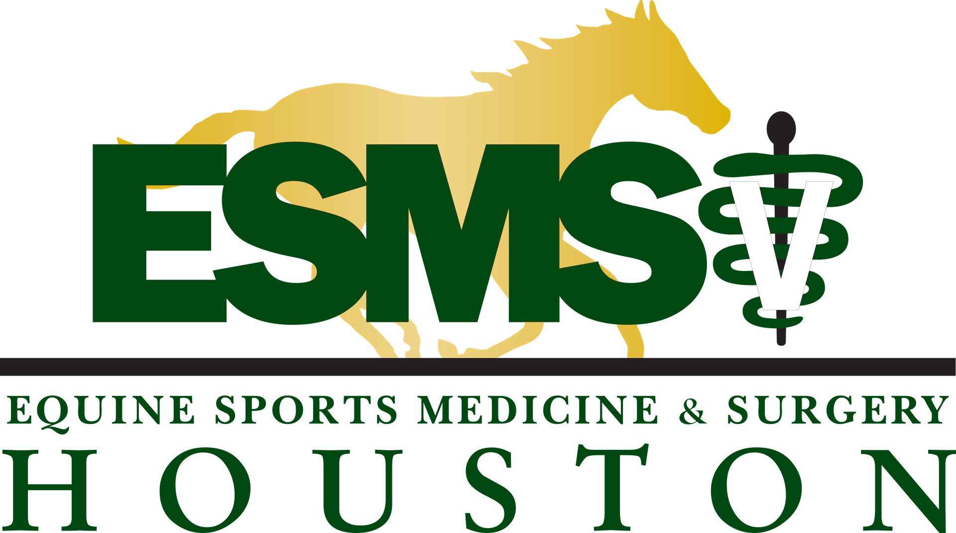 ESMS (Equine Sports Medicine and Surgery) and Athens Equine