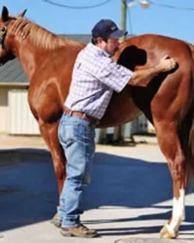 Dr. Marty Ivey